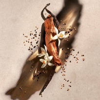 ZADIG Eau De Parfum 90 ml