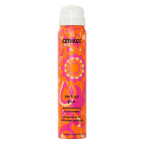 Perk Up Plus Extended Clean Dry Shampoo 94ml