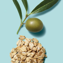 Clean Beauty Hydrate Shampoo 250 ml