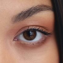 Eye Shadow 3 g – Kungsljus