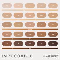 Impeccable Foundation 35 ml – 00N
