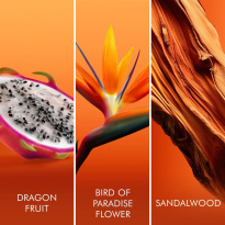 Bali Paradise Eau De Toilette 30 ml