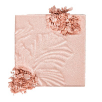 MegaGlo Highlighting Powder Blossom Glow 5,4g