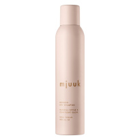 Refresh Dry Shampoo 250 ml