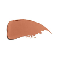 Technosatin Gel Lipstick 4 g ─ 403 Augmented Nude