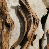 Light Blue Eau De Toilette 100ml