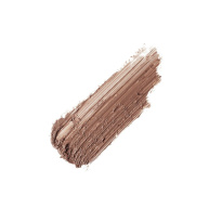 Eye Brows Big Boost Fibre Gel Lingering 4,1g