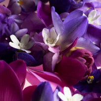 Ginza Murasaki Eau De Parfum 30 ml