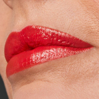 Pure Color Lipstick Creme 3,5 g – Impassioned