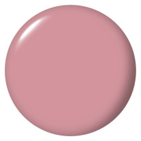 Nail Lacquer Suzi Calls the Paparazzi NLH001 15ml