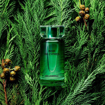 Bois De Cyprès Eau De Toilette 100 ml