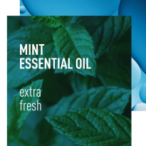 Instant Cool 24H Deodorant 50 ml