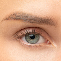 Perfect Fit Lash Divine Flutter