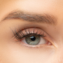 Perfect Fit Lash Divine Flutter