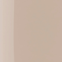 The Wonder Nail Polish Quick Dry & Longwear 5 ml ─ 218 Oat Milk