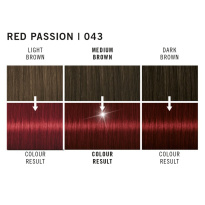 Live XXL – 43 Red Passion