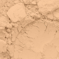 Conceal + Perfect Shine-Proof Powder 03 Natural Light 12,3g