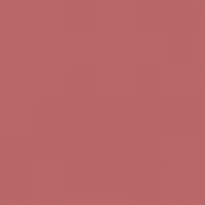 Color Statement Lipliner Nude 1,1g