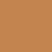 Tinted Cover Foundation Nude 6 25ml