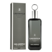 Classic Grey Eau De Toilette 100 ml