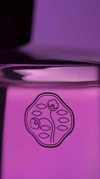 Ginza Murasaki Eau De Parfum 50 ml