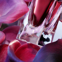 La Vie Est Belle L'ELIXIR Eau de Parfum 30 ml