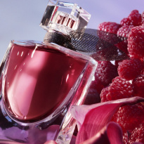 La Vie Est Belle L'ELIXIR Eau de Parfum 30 ml