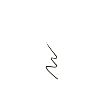 Liquid Eye Pen Black 1ml