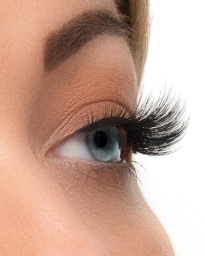 Multipack Lash Vault 3 3 kpl
