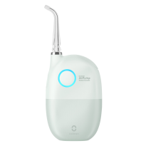 AirPump A10 Water Flosser – Green