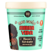 MEU CACHO MINHA VIDA Moisturizing Mask 450g