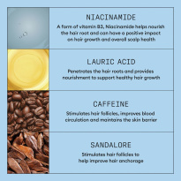 Anti-Hairloss Treatment 70 ml