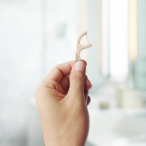 Dental Floss Picks 50 kpl – Mint