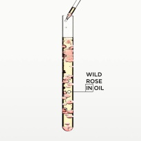 Gloss Absolu Glaze Drops Hair Oil 45 ml