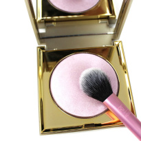 Setting Brush