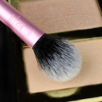 Setting Brush