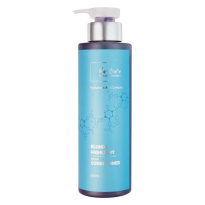 Hairsolutions Blonde Highlight Repair Conditioner 500ml