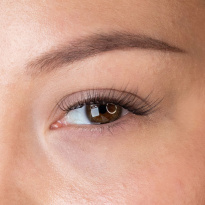 Press & go Underlashes Casual