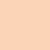 Tinted Cover Foundation 25 ml – 2 Nude