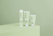 Clean Beauty Anti-Frizz Leave-In Treatment 150 ml