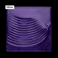 Silver Shampoo 500ml