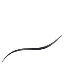 Flex Tip Eyeliner 1 ml ─ #80 Deep Black