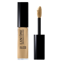 Teint Idole Ultra Wear All Over Concealer 13 ml ─ 048 Beige Chataigne