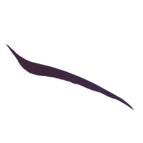 Liquid Liner 2,4 ml – Aubergine