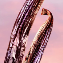 La Vie Est Belle Vanille Nude Eau De Parfum 30ml