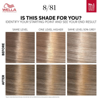 Touch Rich Naturals 130 ml – 8/81 Pearl Blonde