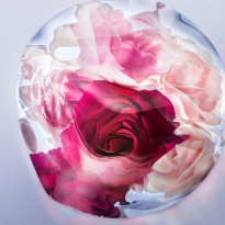 La Vie Est Belle Rose Extraordinaire Eau De Parfum 50 ml