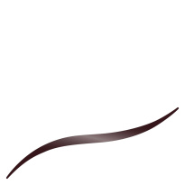 Glossy Eyeliner Waterproof 2,5 ml – 42 Dark Brown