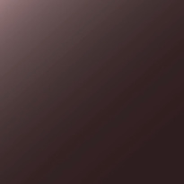 Glossy Eyeliner Waterproof 2,5 ml – 42 Dark Brown