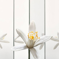 MYSLF Eau De Parfum 40 ml